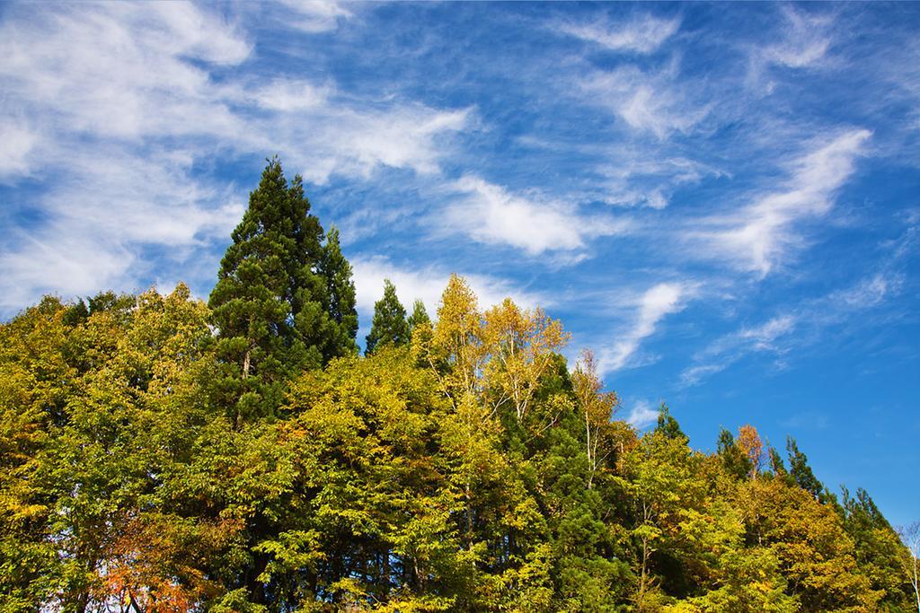 Resort Villa Takayama Takayama  Esterno foto